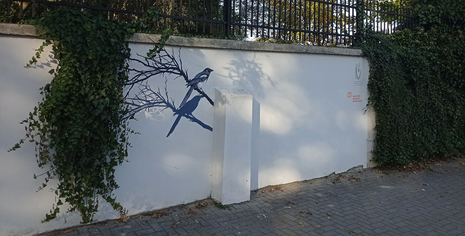 Sroka na muralu w Oświęcimiu